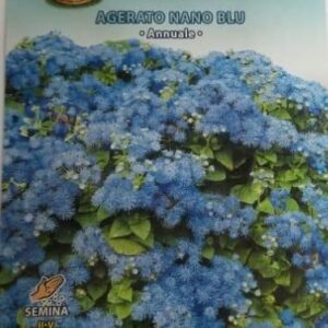 Agerato Nano Blu Seed by CANESTRO