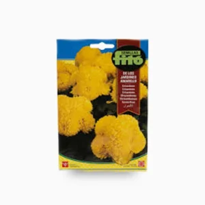Amarillo Chrisanthemum Seeds (Yellow, 2 g)