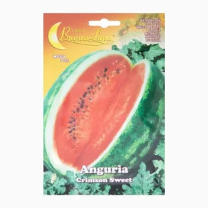 Anguria Crimson Sweet Mega Pack