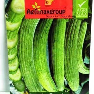 Armenian Cucumber Agrimax seeds Pack of 10