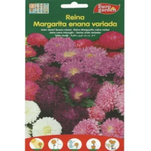 Aster Dwarf Queen Mix Premium Quality Seeds by EuroGarden