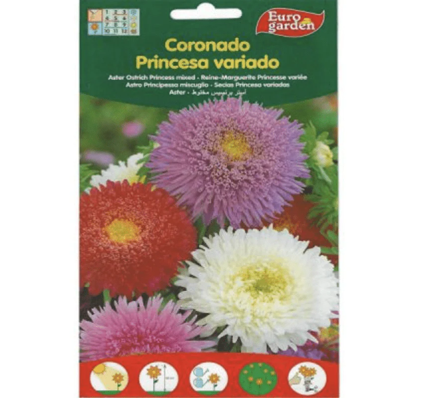 Aster Ostrich Princess Mix Premium Quality Seeds by EuroGarden