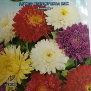 Astro Principessa Mix Seed by CANESTRO
