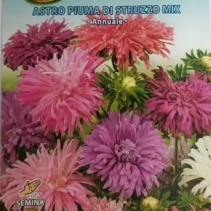 Astro Puma Di Struzzo Mix Seeds by CANESTRO