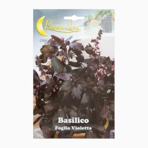Basilico Foglia Violetta Seeds