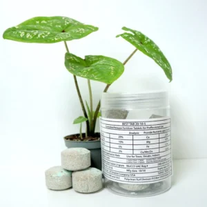 Best Tab "NPK Fertilizer Tablets" with Complete Essential Nutrients For Indoor and Outdoor Plants 10 Tabs pack