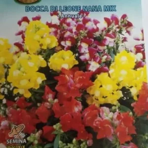 Bocca Di Leone Nana Mix Seed by CANESTRO
