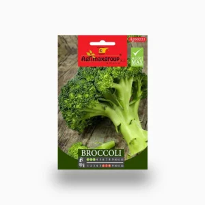 Broccoli Agrimax Seeds Set of 5 Seeds