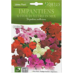 Busy Lizzie "Impantiens O Fior di Vetro In Mix" Premium Quality Seeds by Hortus Sementi