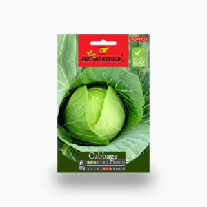 Cabbage Agrimax Seeds Set of 10 Seeds