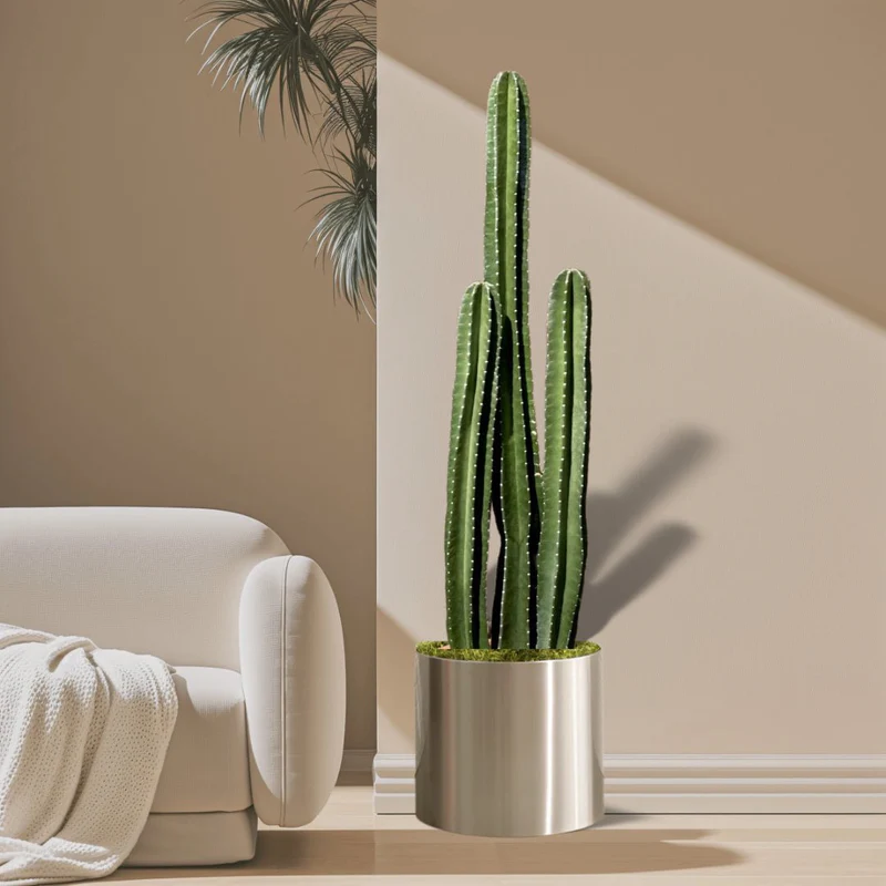 Cactus San Pedro (1.0-1.4m) in Stainless Steel Pot