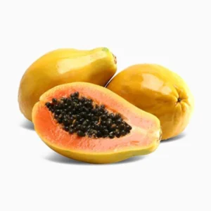 Carica Papaya or Papaya Tree شجرة البابايا 1.2-1.5m overall height