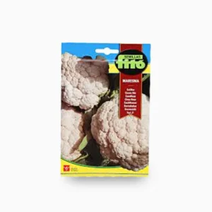 Cauliflower Maresma 4g - Fito