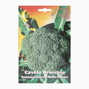 Cavolo Broccolo Ramoso Calabrese Medio precoce Mega Pack