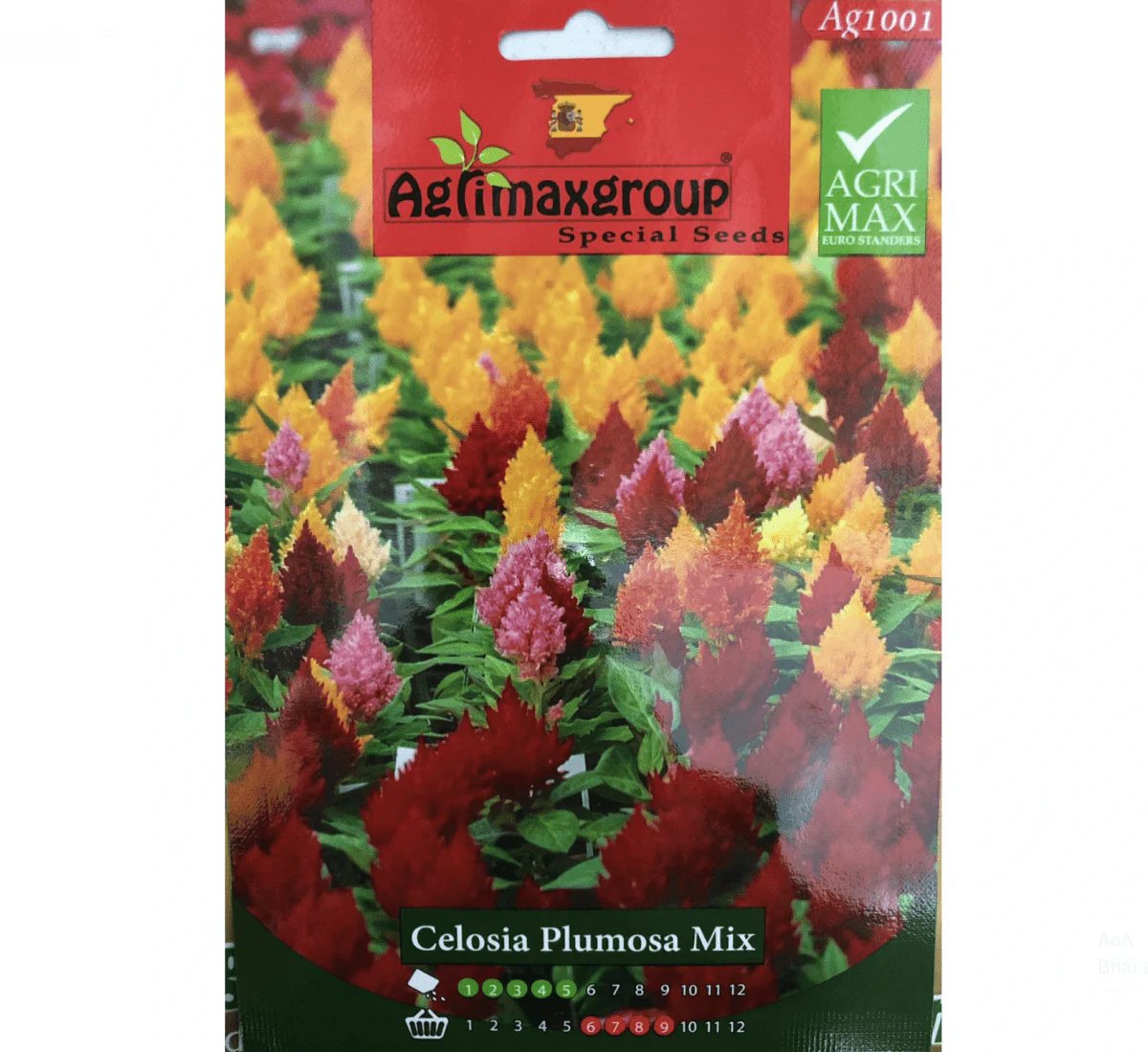 Celosia Plumosa mix Flower Seeds by Agrimax Spain Set of 10 Seeds