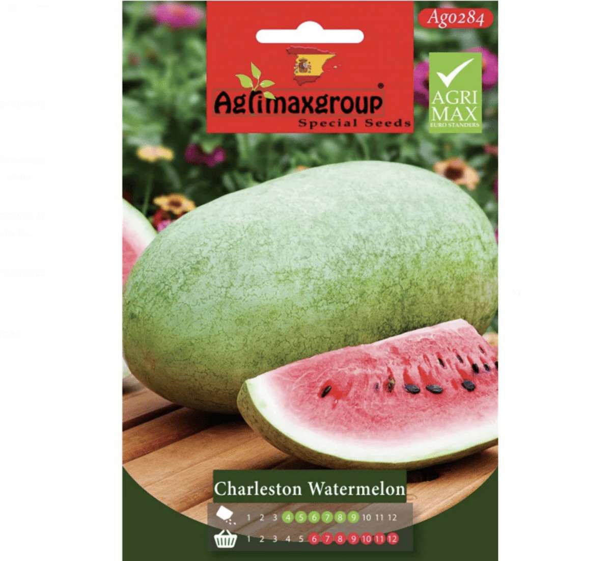Charleston Watermelon Agrimax Seeds Set of 2 Seeds