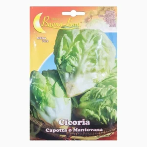 Cicoria Capotta o Mantovana Mega Pack