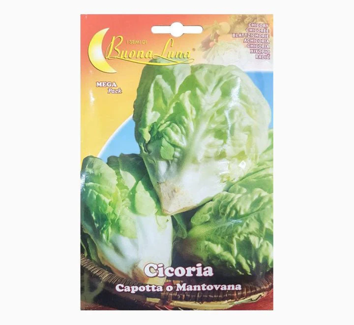 Cicoria Capotta o Mantovana Mega Pack