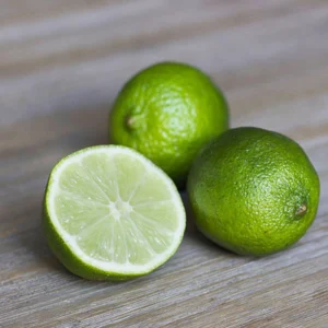 Citrus Latifolia Lima 1.5-2.0m