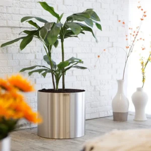 Classic Cylinder "Mirror Finish" 35X35 cm