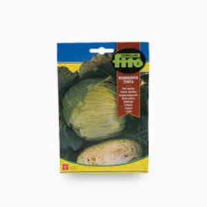 Col Repollo Brunswick-Tenta - Fito Seeds