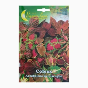Coleus Arcobaleno Mix Mega Pack
