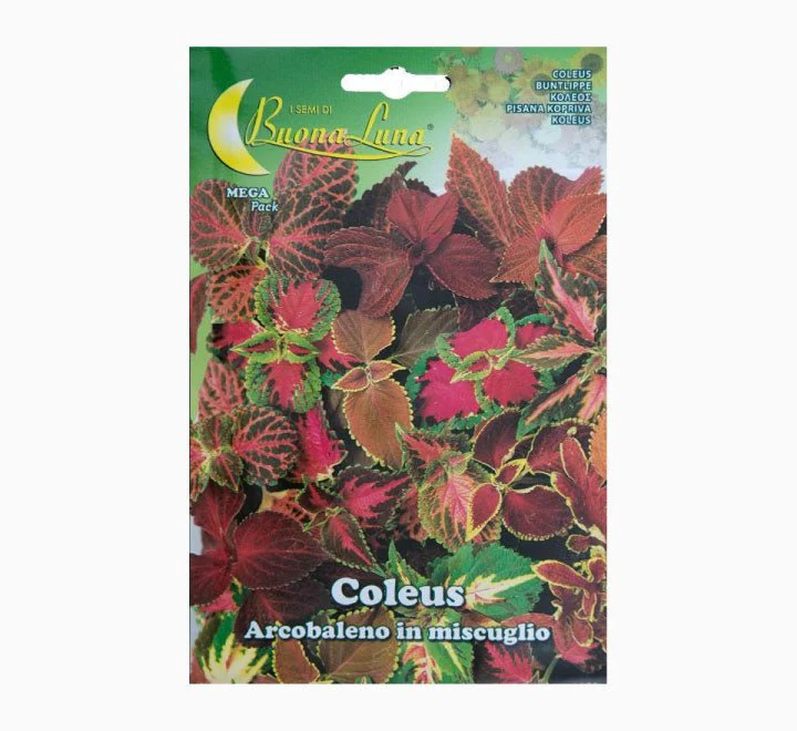 Coleus Arcobaleno Mix Mega Pack
