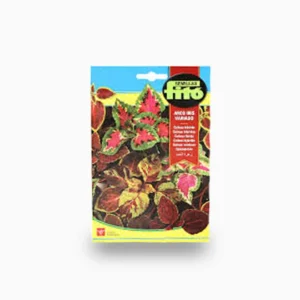 Coleus Rainbow Mix 400mg - Fito