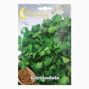 Coriandolo Mega Pack