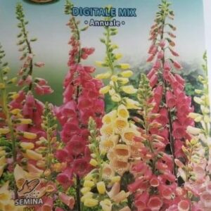 Digitale Mix Seeds by CANESTRO