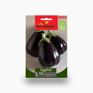 Eggplant Agrimax Seeds Set of 10 Seeds