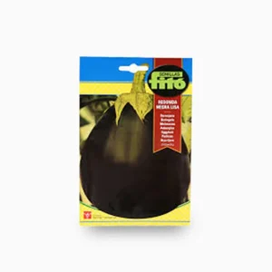 Eggplant Redonda Negra Lisa 4g