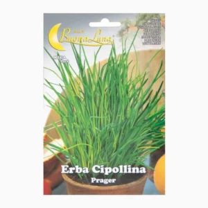 Erba Cipollina Mega Pack