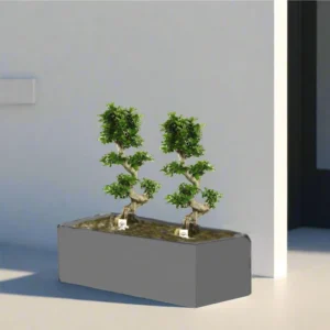 Ficus Bonsai "S" Duo in Rectangular Fiber Glass Planter (GRP) (70x30x30cm) Single Planter Gray