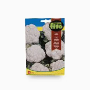 Fito Coliflor Alba (Cauliflower) - Fito Seeds