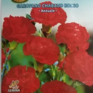 Garofano Chabaud Rosso Seed by CANESTRO