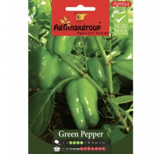 Green Pepper Agrimax seeds Set of 5 Seeds