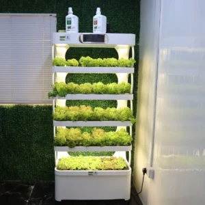 Hydroponics Pro Shelf with Automated Controls & Full Spectrum LED Grow Lights – Indoor Smart Growing System for Herbs | Vegetables & Flowers