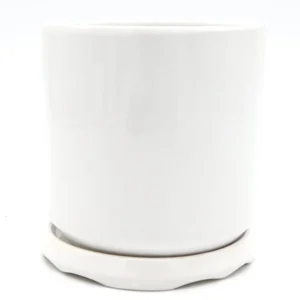 Indoor White Ceramic Pot with attached Saucer 14x14 cm