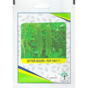 Kalash Bitter Gourd Seeds KSP 1462 F1 Hybrid Premium Quality