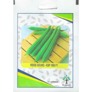 Kalash Ridge Gourd KSP 1565 F1 Hybrid Premium Quality Seeds / Gourd Seeds