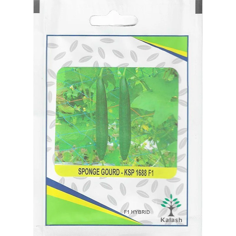 Kalash Sponge Gourd KSP 1688 F1 Hybrid Premium Quality Seeds / Sponge Gourd Seeds