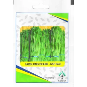 Kalash Yardlong Beans Seeds F1 KSP 9453 Hybrid Premium Quality