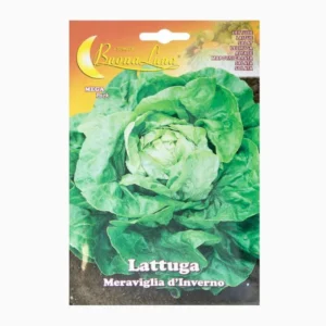 Lattuga Meraviglia Inverno Mega Pack