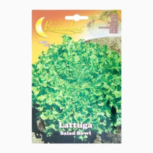 Lattuga Salad Bowl Mega Pack