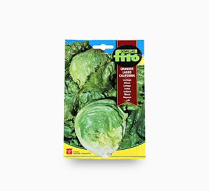 Lettuce Grandes Lagos California 6g - Fito