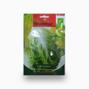 Lollo Lettuce Agrimax Seeds Set of 2 Pack