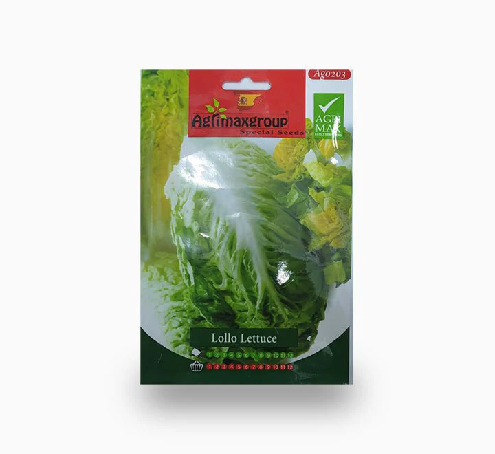 Lollo Lettuce Agrimax Seeds Set of 5 Pack