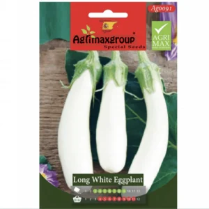 Long white Eggplant Agrimax Seeds Set Of 5 Pack