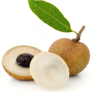 Longan Fruit Queen of Mangoes 1.2-1.5m